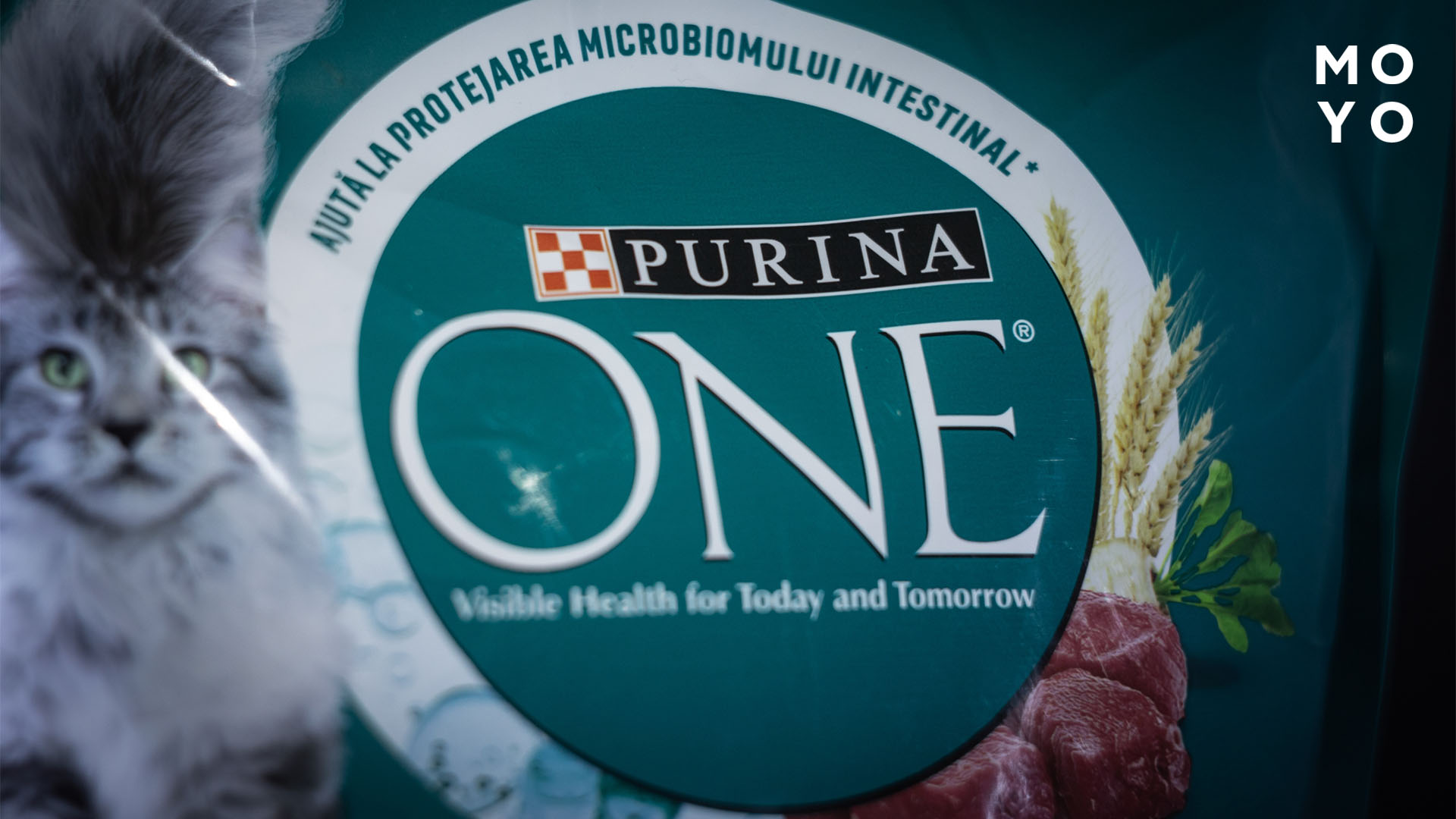 Purina One ᐉ Официальный магазин Purina One в Украине | MOYO